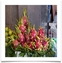 Dragon Fruit. Hanoi - Richard Nicholls